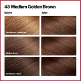 Revlon ColorSilk Beautiful Color Permanent Hair Color, Long-Lasting High-Definition Color, Shine & Silky Softness with 100% Gray Coverage, Ammonia Free, 43 Medium Golden Brown, 3 Pack