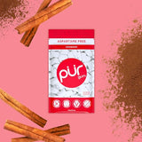 PUR Gum | Aspartame Free Chewing Gum | 100% Xylitol | Natural Cinnamon Flavored Gum, 55 Pieces (Pack of 3)