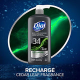 Dial Men 3in1 Body, Hair and Face Wash, Recharge, 69 fl oz (3-23 fl oz Bottles)