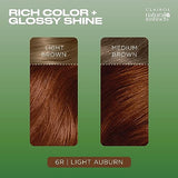 Clairol Natural Instincts Demi-Permanent Hair Dye, 6R Light Auburn Hair Color, Pack of 3