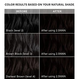 Madison Reed Radiant Hair Color Kit, Soft Black for 100% Coverage of Resistant Gray Hair, Ammonia-Free, 2.5NNN Parma Black, Permanent Hair Dye, Pack of 1