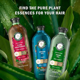 Herbal Essences Argan Oil of Morocco Shampoo & Conditioner Set, Repair & Smooth, Kew Endorsed, Fizzy Citrus Scent, Paraben-Free, Safe for Color-Treated Hair, pH-Balanced, 20.2 Fl Oz Each, 2 Pack