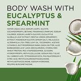 Dr Teal's Body Wash with Pure Epsom Salt, Relax & Relief with Eucalyptus & Spearmint, 24 fl oz (Pack of 4) (Packaging May Vary)