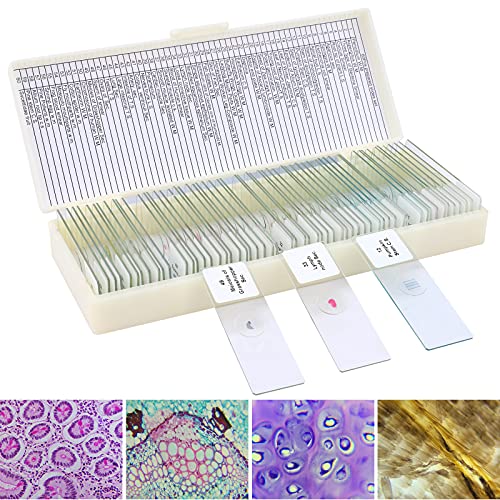 60 Microscope Slides with Specimens for Kids, Prepared Microscope Slides for Kids Microbiology, Prepared Microscope Slides for Adults