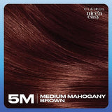 Clairol Nice'n Easy Permanent Hair Dye, 5M Medium Mahogany Brown Hair Color, 6.26 Fl Oz (Pack of 3)