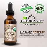 US Organic Sesame Seed Oil, Certified Organic, Untoasted, Unrefined Virgin, Pure & Natural, Cold Pressed, in Amber Glass Bottle w/Glass Eye dropper, Sourced from Mexico (2 oz (Small))