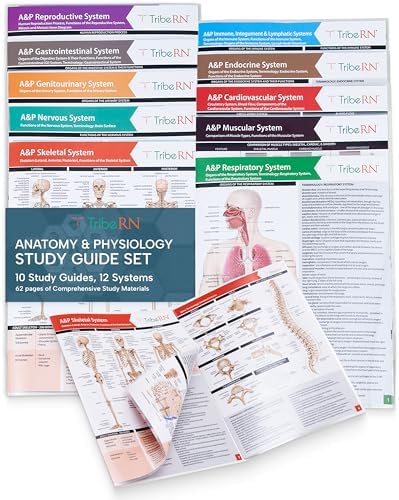 TribeRN Anatomy & Physiology Study Guides - Set of 10 Human Anatomy Guides for Nursing Students, School, College, Medical Professions - 12 Topics on Body Systems w/ Reference Charts & Terminology