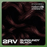 Clairol Natural Instincts Demi-Permanent Hair Dye, 2RV Burgundy Black Hair Color, Pack of 3