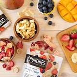 Crunchies Freeze-Dried Fruits, 100% All Natural Crispy Fruit, Non GMO and Kosher, Resealable Freeze Dried Fruit Snack Packs, Pack of 6 (Variety Gift Pack)