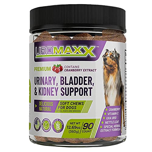 UroMAXX Dog Urinary Tract Infection Treatment, Bladder & Kidney Support for Dogs, Powerful Pet Care, Natural Soft Chews with Cranberry & Glucosamine, Made in The USA, Chicken Flavor, 90 Count, 1 Pack