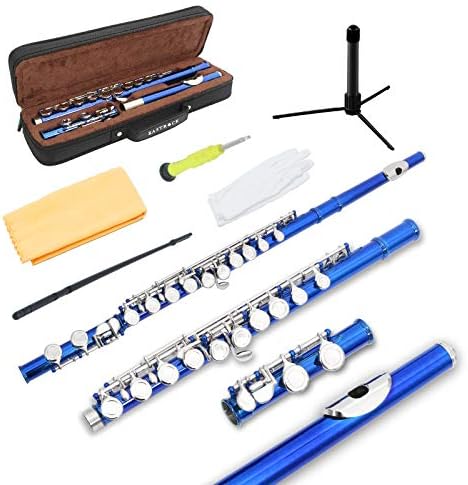 EASTROCK Closed Hole Flutes C 16 Key for Beginner, Kids, Student -Silver Nickel Flute with Case Stand and Cleaning kit (Blue)