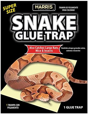 Harris Snake Glue Trap, Super Sized for Snakes, Rats, Mice and Insects (1-Pack)