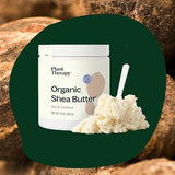 Plant Therapy Organic African Shea Butter Raw, Unrefined USDA Certified 16 oz Jar For Body, Face & Hair 100% Pure, Natural Moisturizer, Best for DIYs Like Lotion, Cream, Lip Balm and Soap