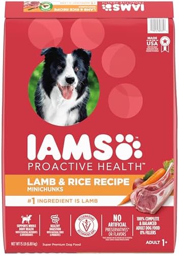 IAMS Minichunks Adult Dry Dog Food Lamb & Rice Recipe Dog Kibble, 15 lb. Bag