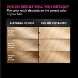 Garnier Hair Color Olia Ammonia-Free Brilliant Color Oil-Rich Permanent Hair Dye, 9.0 Light Blonde, 2 Count (Packaging May Vary)