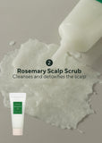 AROMATICA Rosemary Scalp Scaling Trial Kit - Travel Size Shampoo and Scalp Treatment with Mini Wooden Brush