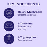 Lightwave by Kin Euphorics – Non-Alcoholic Botanical Drink with Prebiotics, Nootropics & Adaptogens – Lavender, Vanilla, Ginger & Birch, 8 oz (8-Pack)