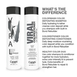 Celeb Luxury Colorwash Color Depositing Shampoo - Color Refresher, Vegan Hair Dye, Bondfix Bond Rebuilder, Viral Graphite