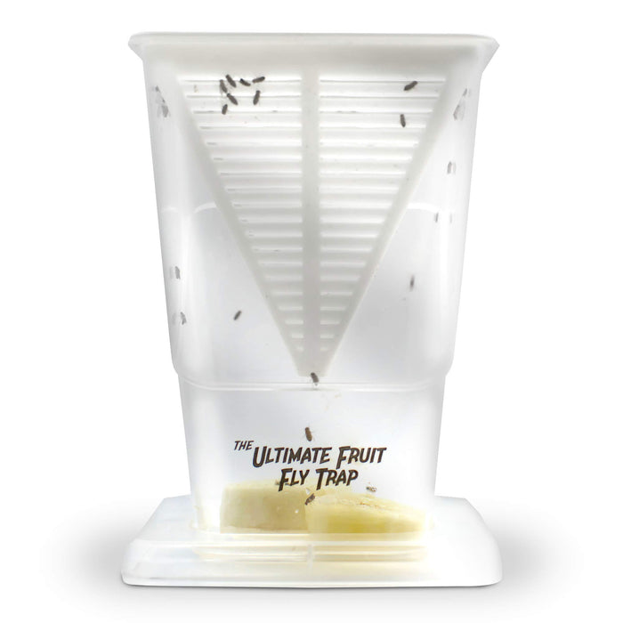 The Ultimate Fruit Fly Trap (Pack of 2) - Indoor Kitchen Non-Toxic Reusable Traps Catches or Kills Fruit Flies with Natural Bait or Lure