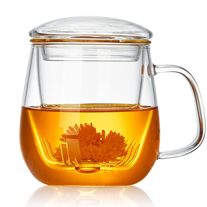 DOPUDO Glass Tea Cup with Infuser and Lid, 17.6oz/520ml Large Borosilicate Teacup, Clear Mug for Loose Leaf Tea, Blooming Tea, Tea Bags - Perfect Christmas or Birthday Gift for Women