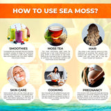 WELLNESS LABSRX Irish Sea Moss Gel Organic Raw - Wildcrafted Superfood Seamoss Gel - Pineapple Mango Flavor, Vitamin and Mineral-Rich from Pristine Caribbean Waters - 10 oz.