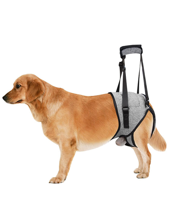 Dog Lift Harness for Medium Dogs, Sling for Dogs Back Legs, Adjustable Soft Padded Dog Support Harness for Back Legs for Elderly, Injured, Arthritic, Disabled Dogs, L