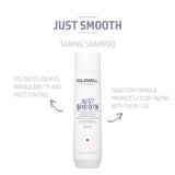 Goldwell Dualsenses Just Smooth Taming Shampoo 300mL