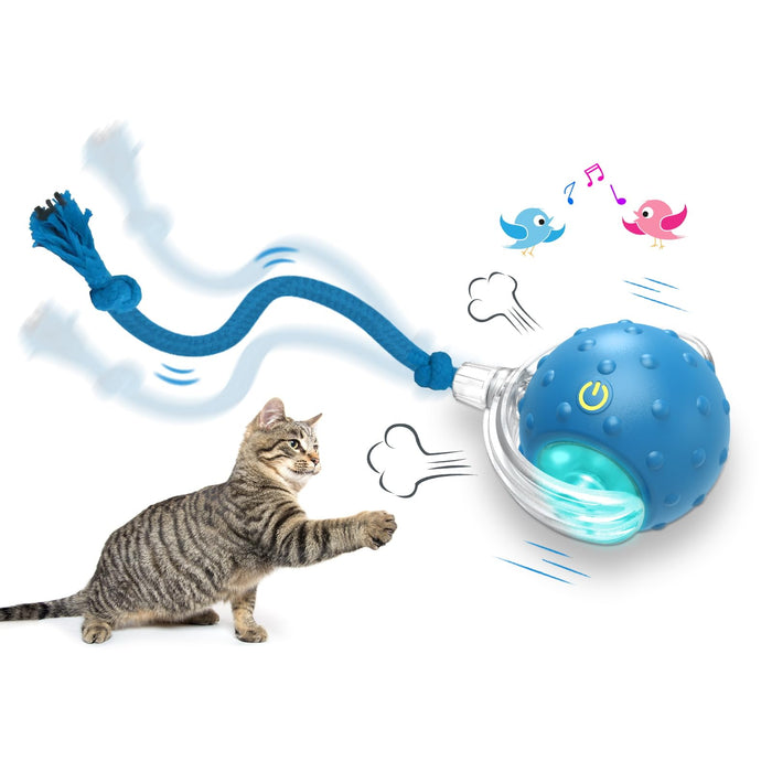 Giociv Interactive Cat Toys Ball for Indoor Cats Fast Rolling on Carpet, Chirping & Motion Activate Cat Toys (Blue)