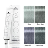 SCHWARZKOPFIgora Royal Absolutes Silverwhite Permanent Hair Color Cream (Slate Gray)