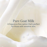 Beekman 1802 Pure Goat Milk Hand Cream, Pure - Fragrance Free - 3.4 oz - Moisturizing Lotion for Dry Skin - Anti-Aging Hydration - Good for Sensitive Skin - Cruelty Free