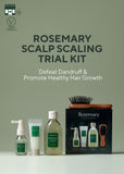 AROMATICA Rosemary Scalp Scaling Trial Kit - Travel Size Shampoo and Scalp Treatment with Mini Wooden Brush