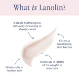 Lanolips Hand Cream Intense, Rose - Hand & Cuticle Cream for Dry, Cracked Skin - Lanolin Cream with Rose Oil, Shea Butter & Vitamin E - Cruelty-Free, Dermatologist Tested (50ml / 1.69 fl oz)