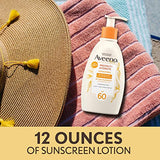 Aveeno Protect + Hydrate Moisturizing Body Sunscreen Lotion with Broad Spectrum SPF 60 & Prebiotic Oat, Weightless, Paraben-Free, Oil-Free & Oxybenzone-Free, Pump Bottle, 12.0 fl. oz