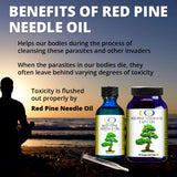 Optimally Organic Wild Crafted Red Pine Needle Oil - Daily Drops for Extreme Immune Support - BioActive Live Extract - 1290 Drops - 3 to 7 Drops Per Dose - Vegan Microbiome Cleanse - Longevity Oil