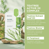 Mediheal Official [Korea's No 1 Sheet Mask] - Tea Tree Essential Blemish Control Mask JUMBO Pack | 30 Masks, 3 x 10 Packs Skin Soothing & Sebum Control Mask Pack for Sensitive Oily Skin