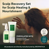 AROMATICA Rosemary Scalp Scrub and Scalp Spray Set - Dry Scalp Treatment, Gift Set, Protect and Refresh Your Hair with Rosemary Oil