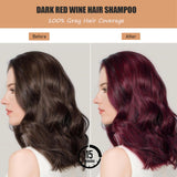 Instant Red Hair Color Shampoo - Herbal Red Hair Dye Shampoo 3 in 1 for Women Men,16.90 Fl Oz Color Shampoo Hair Dye Easy to Apply & long lasting Red Hair Shampoo Colors in 10-15 Minutes (Red Wine)