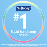 Softsoap Clean & Protect Antibacterial Liquid Hand Soap, Cool Splash Hand Soap, 11.25 Ounce, 6 Pack