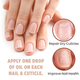 FRENCH GIRL Nail & Cuticle Oil - Hydrating Nail Strengthener and Growth Treatment, Cuticle Softener, Nail Growth Oil to Repair Dry, Damaged Nails, Clean, Vegan & Cruelty-Free, 3 oz