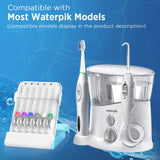 Replacement Tips for Waterpik Water Flosser (6 Implant Denture Tips)