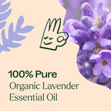 Plant Therapy Organic Lavender Essential Oil 100% Pure, USDA Certified Organic, Undiluted, Natural Aromatherapy, Therapeutic Grade 100 mL (3.3 oz)