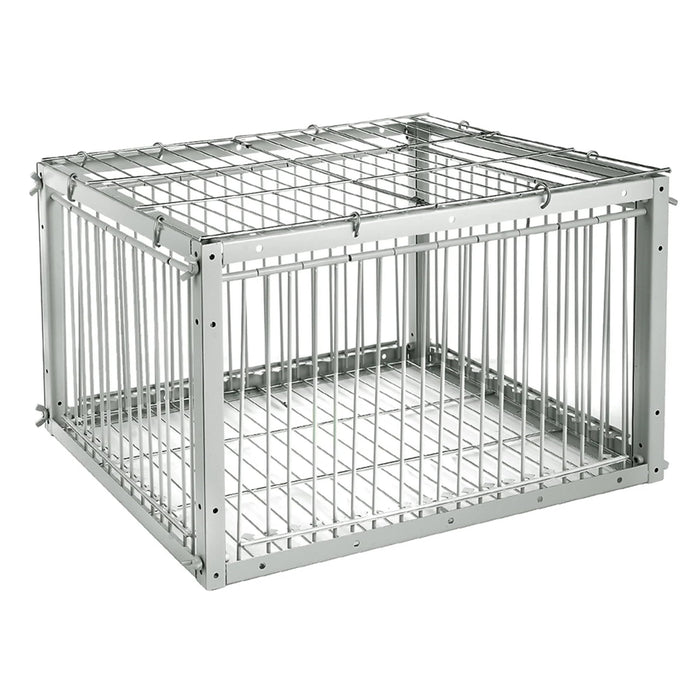 Pigeon Trap with Escape-Proof Design