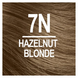 Naturtint Permanent Hair Color 7N Hazelnut Blonde (Pack of 6), Ammonia Free, Vegan, Cruelty Free, up to 100% Gray Coverage, Long Lasting Results