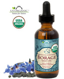 US Organic Borage seed Oil (18% GLA), USDA Certified Organic, 100% Pure & Natural, Cold Pressed, aka Starflower oil, in Amber Glass Bottle w/Eye dropper for Easy Application (2 oz (56 ml))