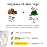 Chaga Tea - 100% Wild Chaga Mushrooms with Bergenia - 30 Unbleached Tea Bags - from Wild Siberian Lake - Hand-Picked by Baikal Tea