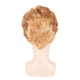 GenmeiFBH Funny Celebrity Wig Presidential Candidate Political Donald Trump Wig Costume Wig Set,President Wig,Billionaire Wig,Mens Blonde Wig,Including A Flag Pin,Perfect for Halloween