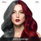 KINGMING Wine Red Hair Dye Shampoo 3 in 1 for Gray Hair, Hair Color Shampoo for Women Men Grey Hair Coverage, Herbal Ingredients Champu Con Tinte Para Canas 500ml (Burgundy)