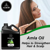 Naturevibe Botanicals Amla Oil 32 Ounces | 100% Pure & Natural Cold Pressed | Hair Growth Oil | Great for Healthy & Moisturised Hair (946 ml)