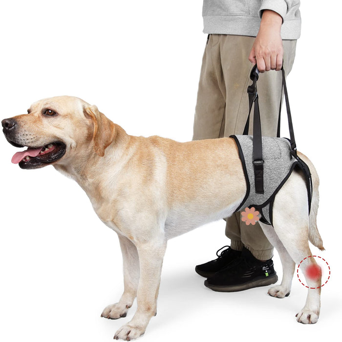 ROZKITCH Dog Lift Harness, Pet Rear Support Aid Veterinarian Approved Sling for Old Help with Poor Stability, Back Leg Hip Disabled Joint Injury Elderly Arthritis ACL Rehabilitation Rehab Grey S