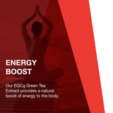 Protocol EGCg Green Tea Extract 200mg - Oxidative Stress Quencher, Cellular Health - 90 Veg Caps